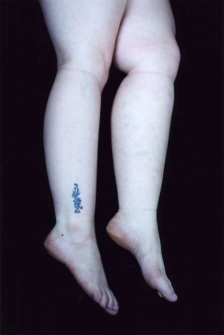 Carla van de Puttelaar, Untitled, 2007