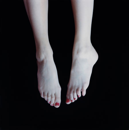 Carla van de Puttelaar, Cranach Series, 2008