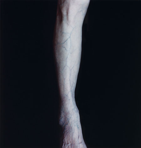 Carla van de Puttelaar, Untitled, 2009